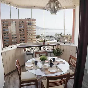 Palmeras Fuengirola